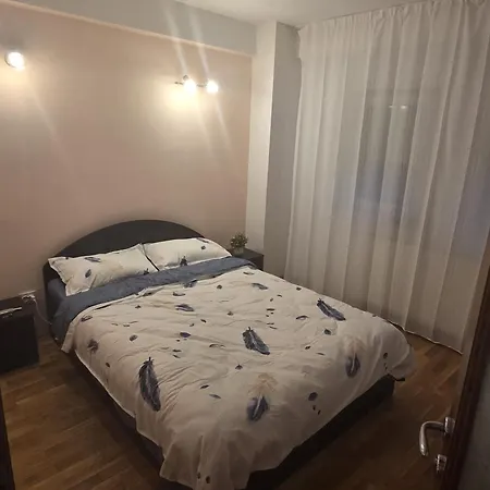 شقة Matei تيميشورا